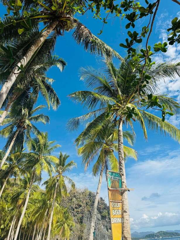 El Nido: Island Hopping TOUR A with Lunch, Transfer & EDTF - Shimizu Island: lunch, shade, and fish-filled water