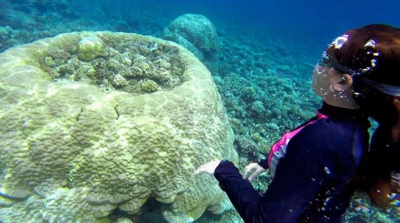 El Nido: Island Hopping Tour B Cudognong Cave & More - Key points to know before booking
