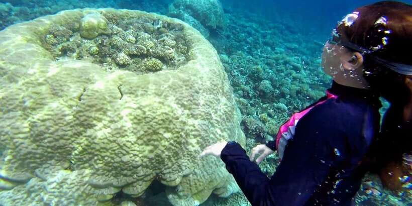 El Nido: Island Hopping Tour B Cudognong Cave & More - Is $25 good value?