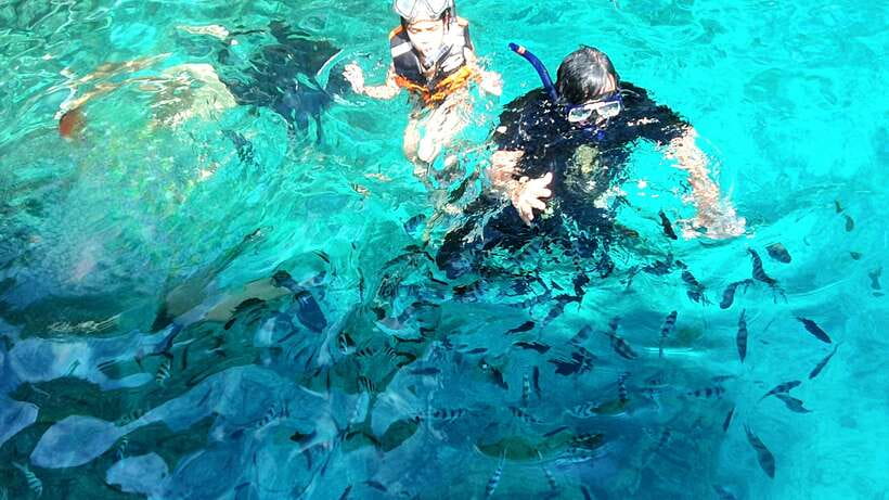 El Nido: Private/Exclusive Island Hopping Tour A BEST PRICE! - Shimizu Island: lunch, coral, and time in the water