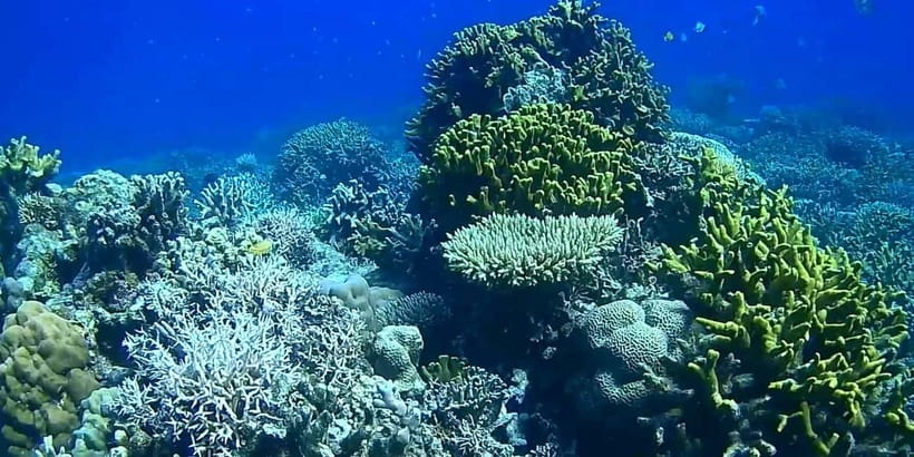 El Nido, Sibaltan: Private Snorkeling & Secret Islands Tour - Price, Value, and the Remote Setting