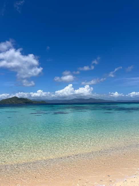 El Nido, Sibaltan: Private Snorkeling & Secret Islands Tour - What the Wildlife Encounters Are Really Worth