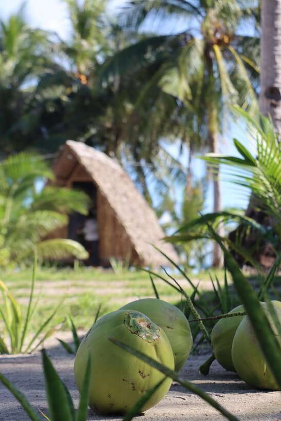 El Nido to Coron: 3-Day 2-Night Island-Hopping Expedition - Day two: reefs, islands, and a full day outdoors