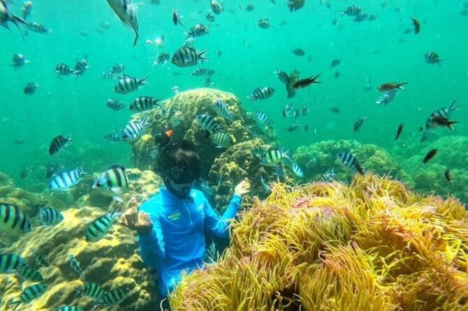 Famous Six Island Snorkeling Trip from Ko Samet - Koh Kham, Koh Krauy, and the tide-dependent Separated Sea