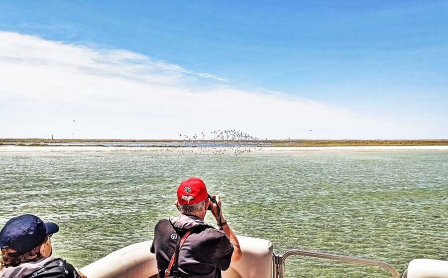 Faro: Ria Formosa Faro Islands Boat Tour - The return ride and possible sunset views