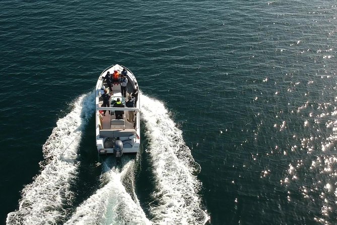 Faro - Ria Formosa tour with visit to 2 islands (Deserta, Farol) 3.5 hours - What the guide adds to the boat ride