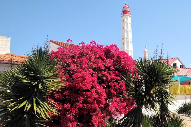Faro - Ria Formosa tour with visit to 2 islands (Deserta, Farol) 3.5 hours - Weather, cancellation, and planning tips