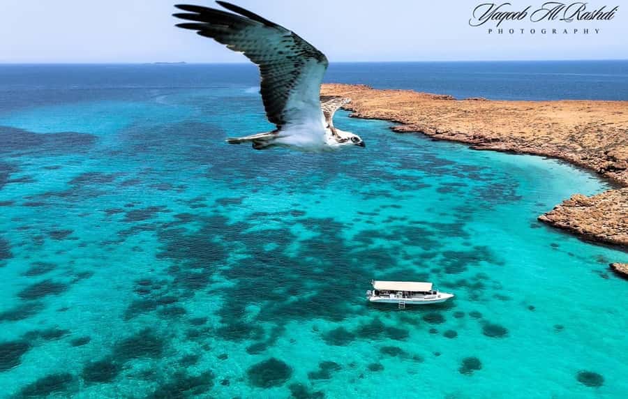 From Al-Seeb: Dimaniyat Islands Boat Trip with Snorkeling - The safety briefing makes the first swim easier