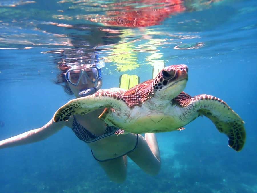 From Al-Seeb: Dimaniyat Islands Boat Trip with Snorkeling - Coral, fish, and the appeal of two separate sites
