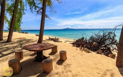 Phi Phi Islands Day Tour by Boat with Lunch