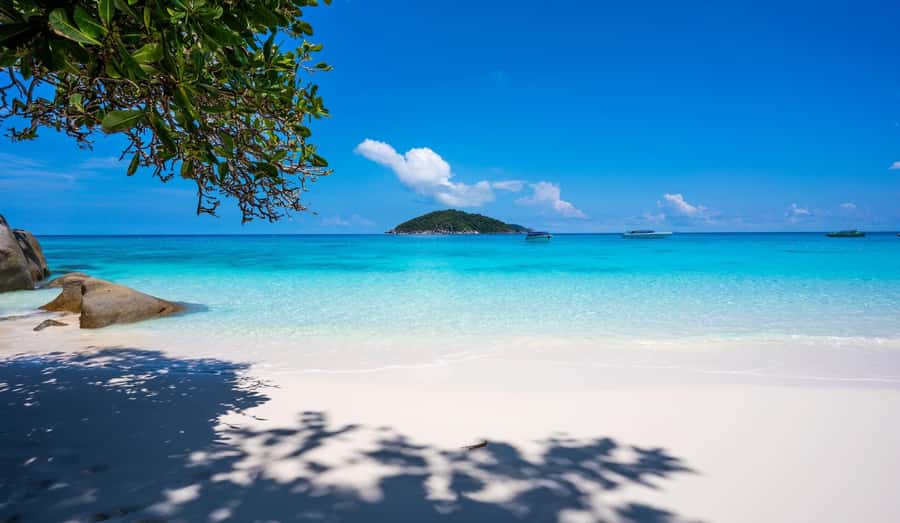 From Ao Nang: Similan Islands Boat Trip with Transfer & Food - Who should book this trip