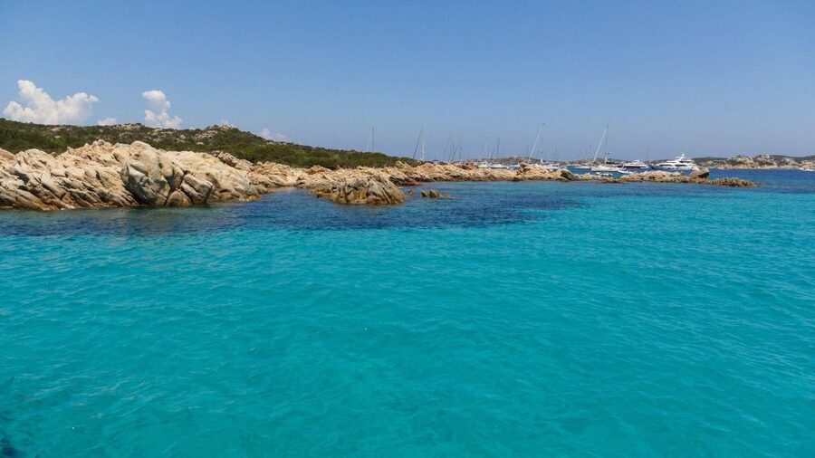 From Cannigione: Catamaran tour in La Maddalena Archipelago - Key points to know before booking