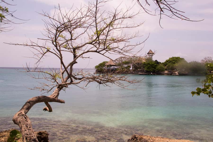 From Cartagena: Rosario Islands Day Trip - Speedboat views past Tierra Bomba