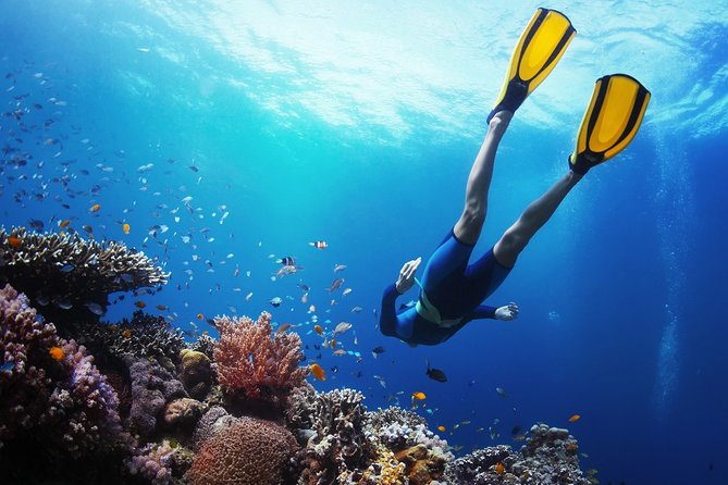 From Cebu: Island Hopping to 3 islands with BBQ lunch - Hilutungan Marine Sanctuary brings the best snorkeling