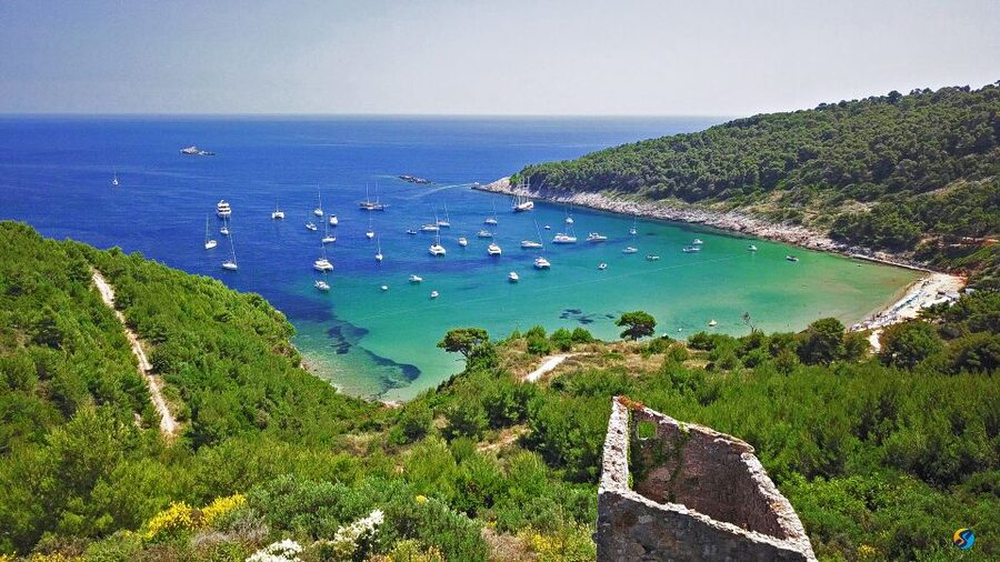 From Dubrovnik: Full-Day Private Boat Tour of Elafiti Island - Koločep and the Blue Cave swim