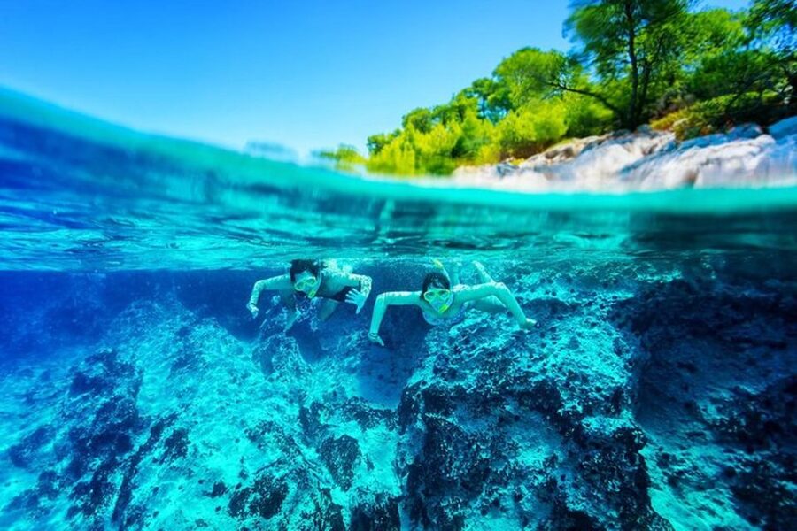From Dubrovnik: Private Island-Hopping Customizable Cruise - What to do during the eight hours