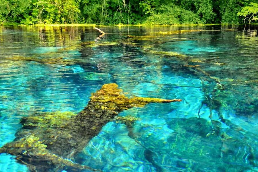 From Durres: Saranda, Blue Eye, Ksamil Islands Boat Tour - Who will enjoy this tour most?