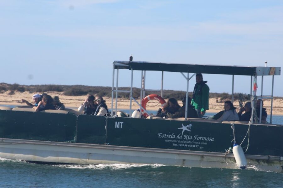 From Faro: 2-Island, 2-Stop Ria Formosa Catamaran Tour - Farol Island and its lighthouse community