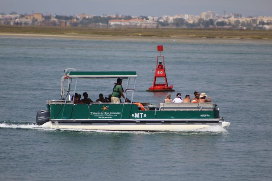 From Faro: 2-Island, 2-Stop Ria Formosa Catamaran Tour - Who will enjoy this Faro boat trip