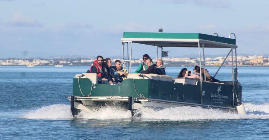 From Faro: 4 Stops, 3 Islands in Ria Formosa Catamaran Tour - Ilha Deserta: the quietest beach stop