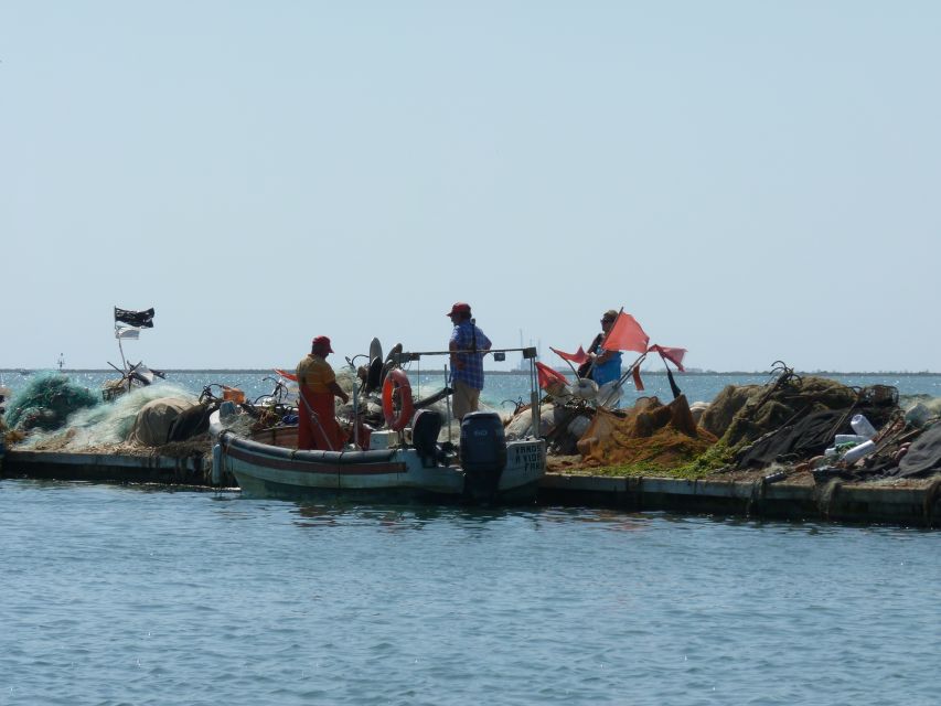 From Faro: 4 Stops, 3 Islands in Ria Formosa Catamaran Tour - Ilha do Farol and its lighthouse village