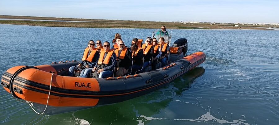 From Faro: Dolphin Watching & 2 Islands Tour - Who will enjoy this Faro boat trip?