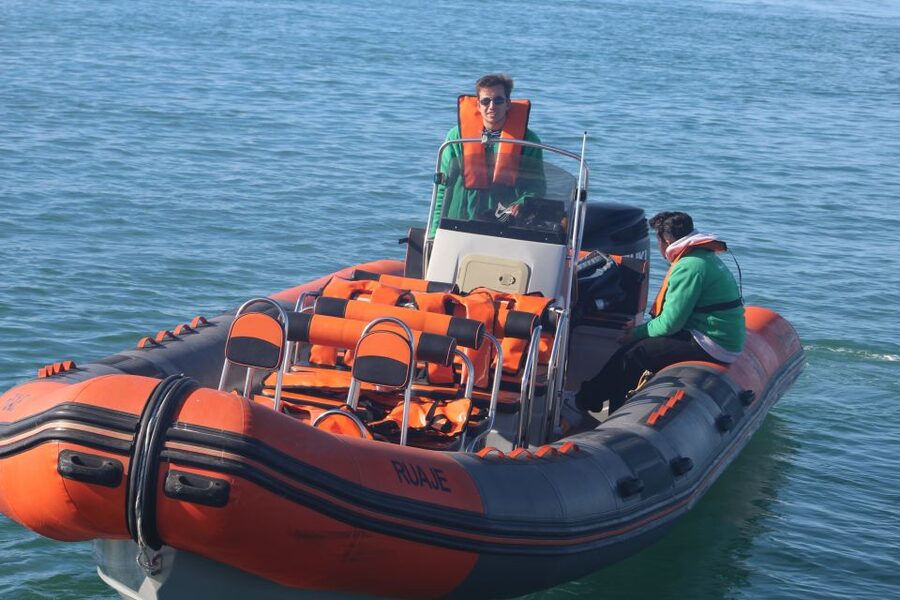 From Faro: Dolphin Watching & 2 Islands Tour - Crossing the Ria Formosa channels