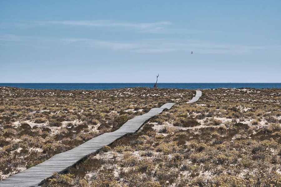 From Faro: Ria Formosa Hop-On Hop-Off 3 Islands Cruise - The best plan for different kinds of visitors