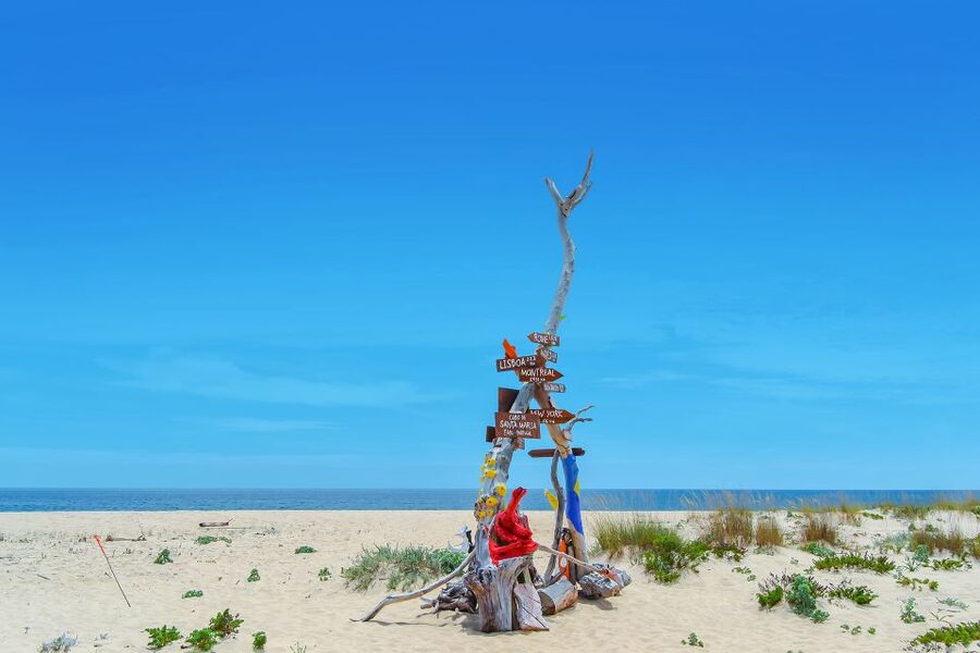 From Faro: Ria Formosa Hop-On Hop-Off 3 Islands Cruise - Practical preparation for a smoother day