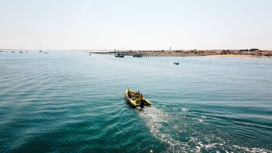 From Faro: Ria Formosa Hop-On Hop-Off 3 Islands Cruise - Desert Island: beach, silence, and Cape Saint Mary