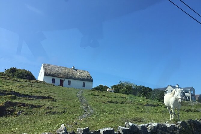 From Galway; Aran Islands Day Tour & Cliffs of Moher cruise - Dún Aonghasa and the price of the extra walk