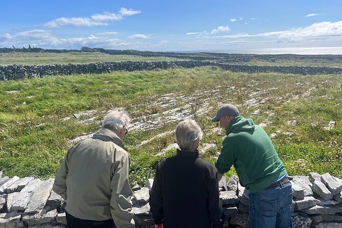 From Galway; Aran Islands Day Tour & Cliffs of Moher cruise - Who will get the most from this day trip?