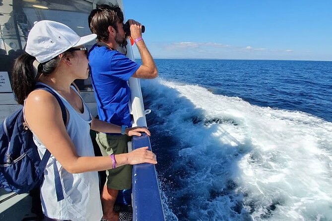 From Galway; Aran Islands Day Tour & Cliffs of Moher cruise - Four hours among dry-stone walls and island life