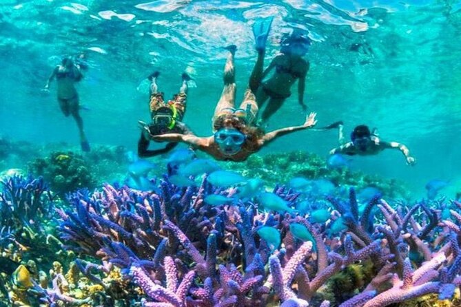 From Gili Trawangan: Island Hopping Snorkeling Trip - Quick reasons to consider this trip