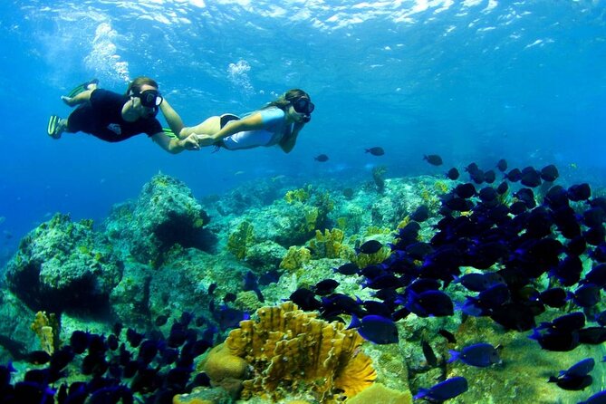 From Gili Trawangan: Island Hopping Snorkeling Trip - What this Gili Trawangan boat trip is really like