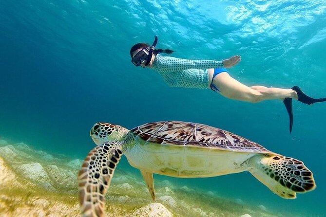 From Gili Trawangan: Island Hopping Snorkeling Trip - A beach and lunch stop on Gili Meno or Gili Air