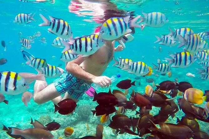 From Gili Trawangan: Island Hopping Snorkeling Trip - Starting near Gili Trawangan’s beach road