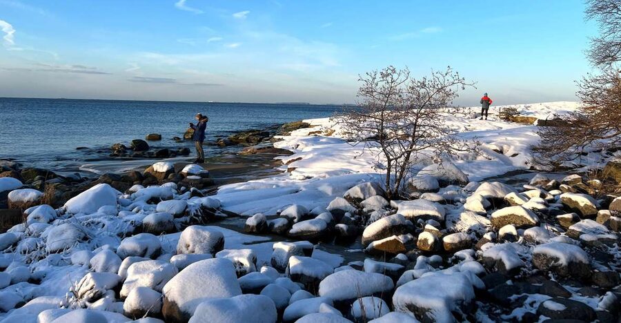From Helsinki: Archipelago Excursion in Porkkalaniemi - What Each Season Adds