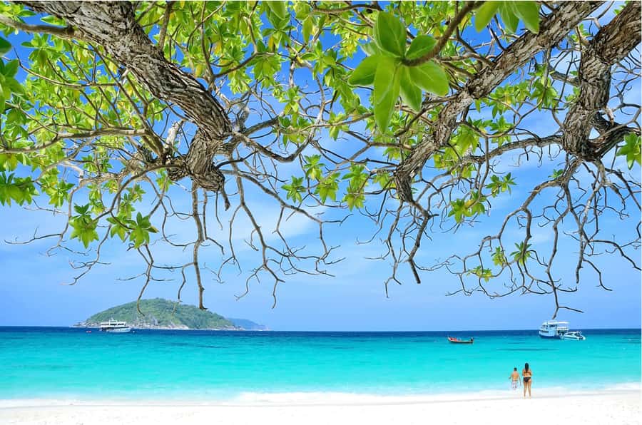 From Khao Lak: Similan Islands Day Trip with Snorkeling - Crowds, weather, and the real snorkeling experience