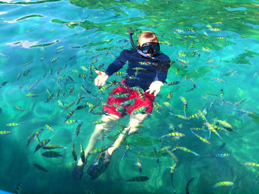 From Krabi: 4 Islands Snorkeling Tour by Speed Boat - Who will enjoy this day most