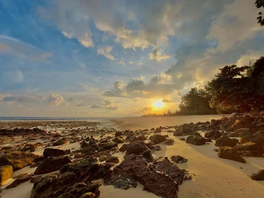 From Krabi: Phi Phi Early Bird & 4 Islands by Speedboat - Maya Bay and the rules that protect it