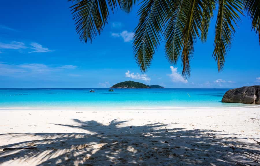 From Krabi: Similan Islands Day Trip by Speedboat - Food, equipment, and the small things that matter