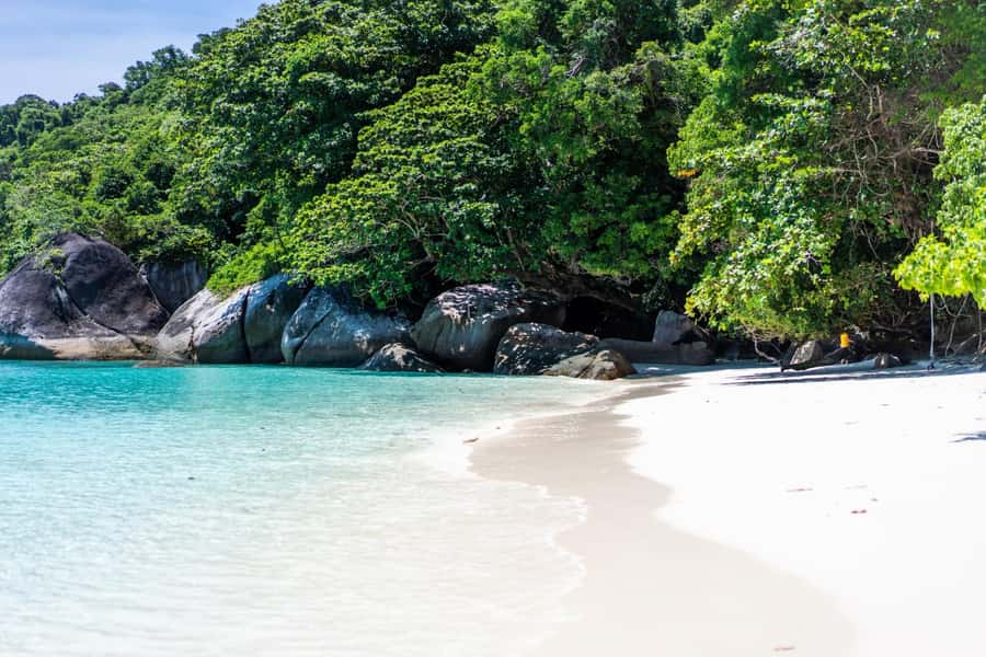 From Krabi: Similan Islands Day Trip by Speedboat - Who will enjoy this tour most
