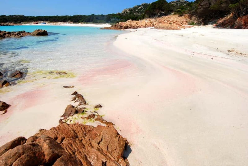 From La Maddalena or Palau: Archipelago Boat Tour - Budelli and the Natural Pools of the Madonna