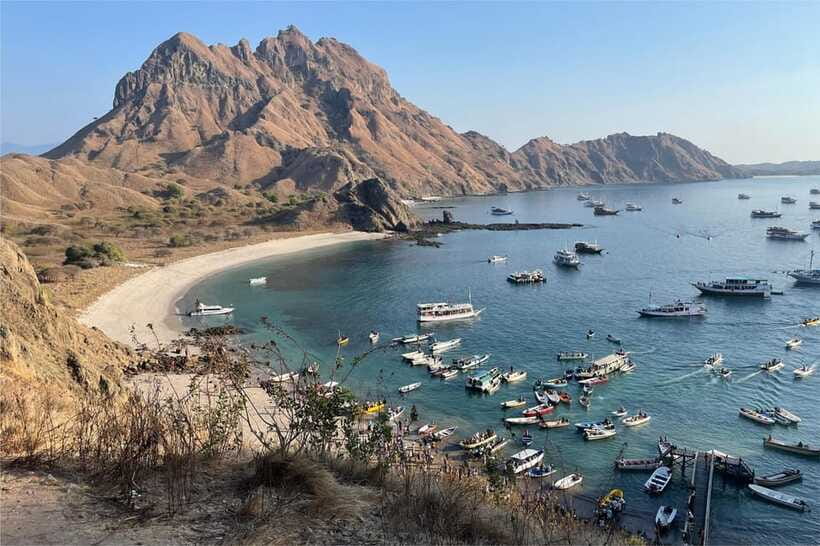 From Labuan Bajo: Komodo Dragons and Island Hop with All Fee - Service, communication, and small practical details