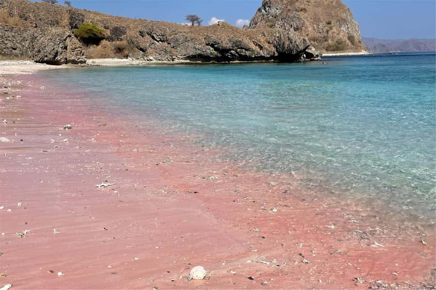 From Labuan Bajo: Komodo Dragons and Island Hop with All Fee - Climbing Padar Island for the famous view