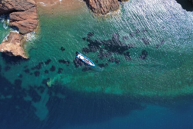 From Nice : Lerins Islands Boat Excursion with Snorkeling - Who should book this boat trip?