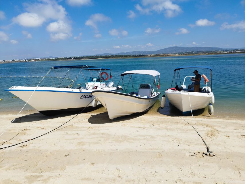 From Olhão: Ria Formosa 3-Island Full-Day Tour - Armona: quiet paths, flowers, and open shore