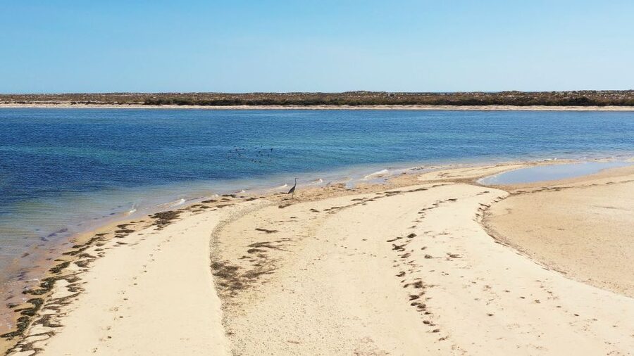 From Olhão: Ria Formosa 3-Island Full-Day Tour - The summer deserted beach option