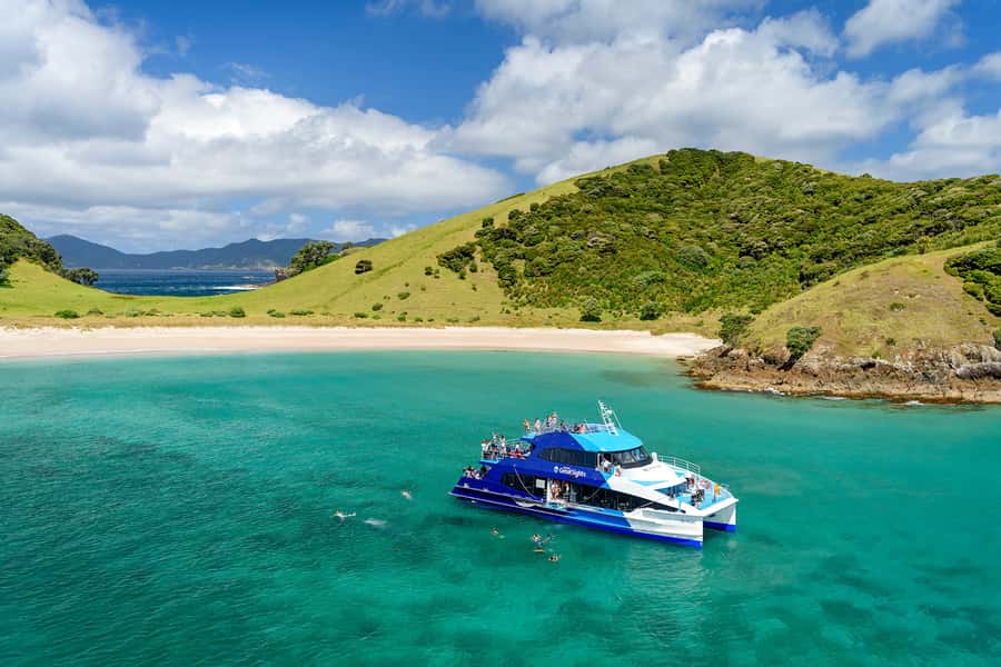 From Paihia: Full-Day Bay of Islands Cruise - Five things to know before you book
